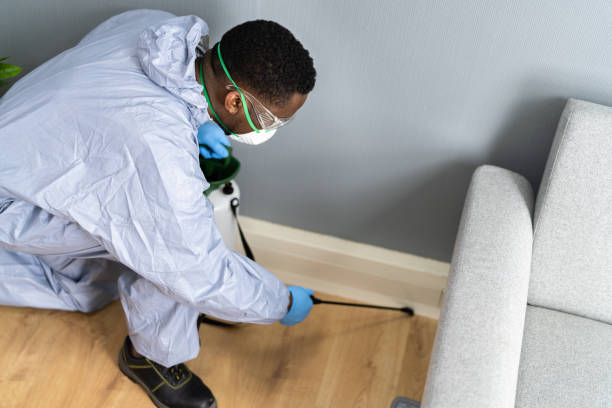 Best Real Estate Pest Inspections  in Hooper, UT